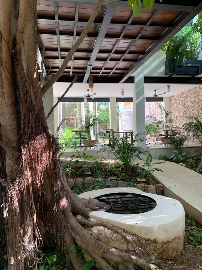 Treehouse Boutique Hotel, An Adults Only Boutique Hotel Mérida Esterno foto