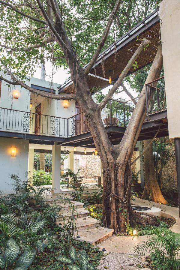 Treehouse Boutique Hotel, An Adults Only Boutique Hotel Mérida Esterno foto